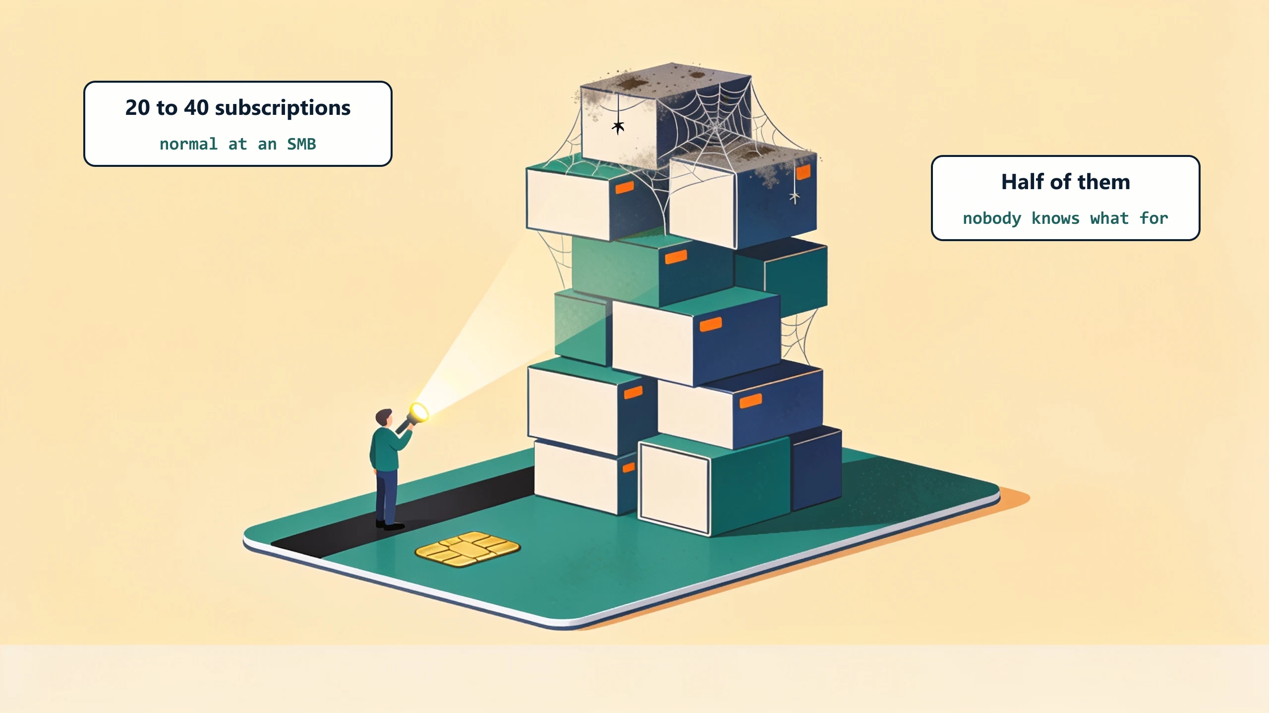 A wobbly tower of blank software boxes stacked on a giant credit card, the top boxes dusty and cobwebbed, while a person shines a flashlight: 20 to 40 subscriptions is normal at an SMB and half of them nobody knows what for.