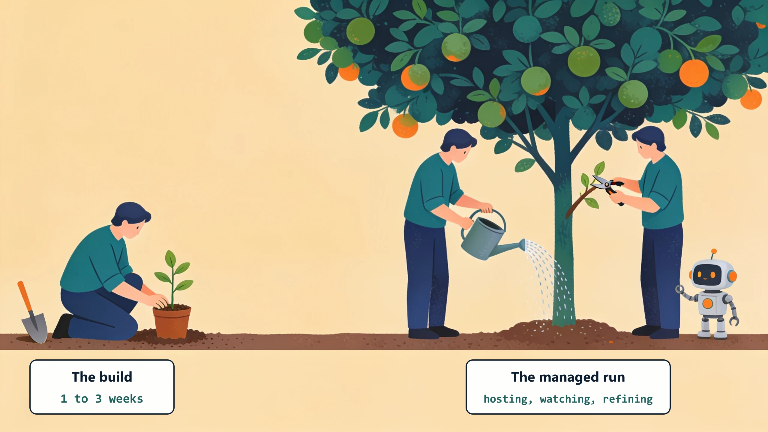 A sapling being planted and the same plant grown into a fruiting tree being watered and pruned: the build takes 1 to 3 weeks, the managed run is months of hosting, watching, and refining.